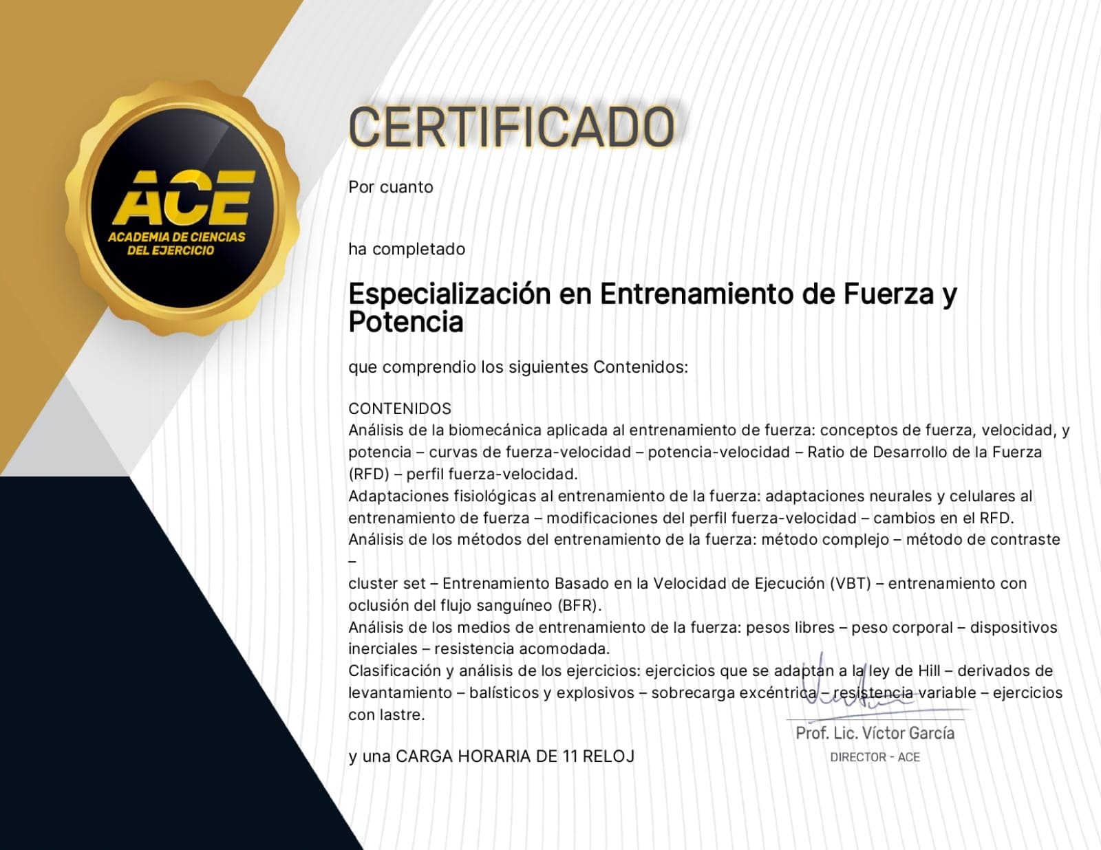 Especialización en Fuerza y Potencia - ACE